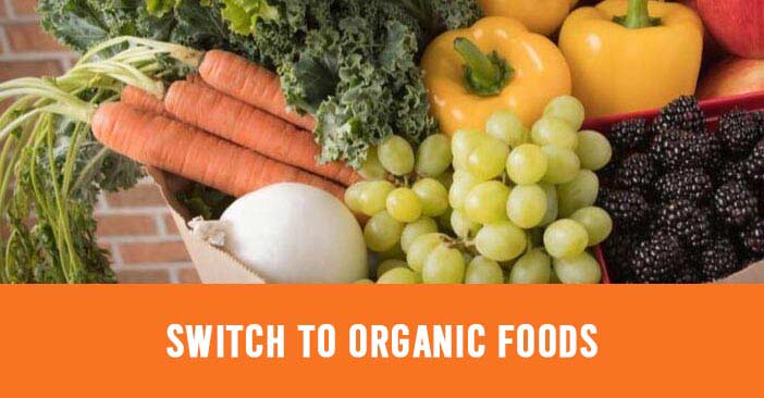 Organic-Food.jpg